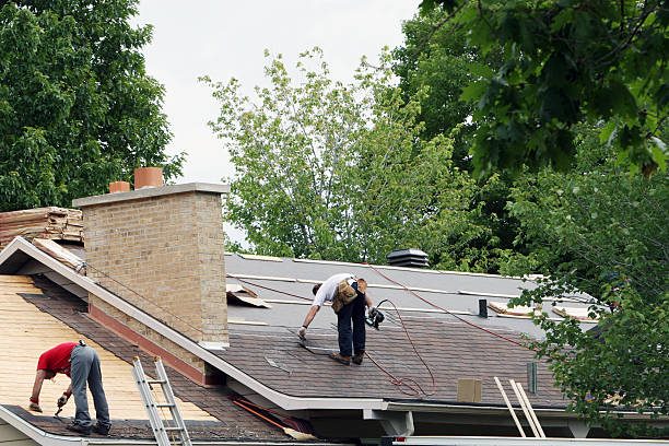 Roof Gutter Cleaning in Ware Shoals, SC